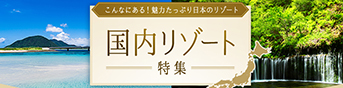 国内リゾート